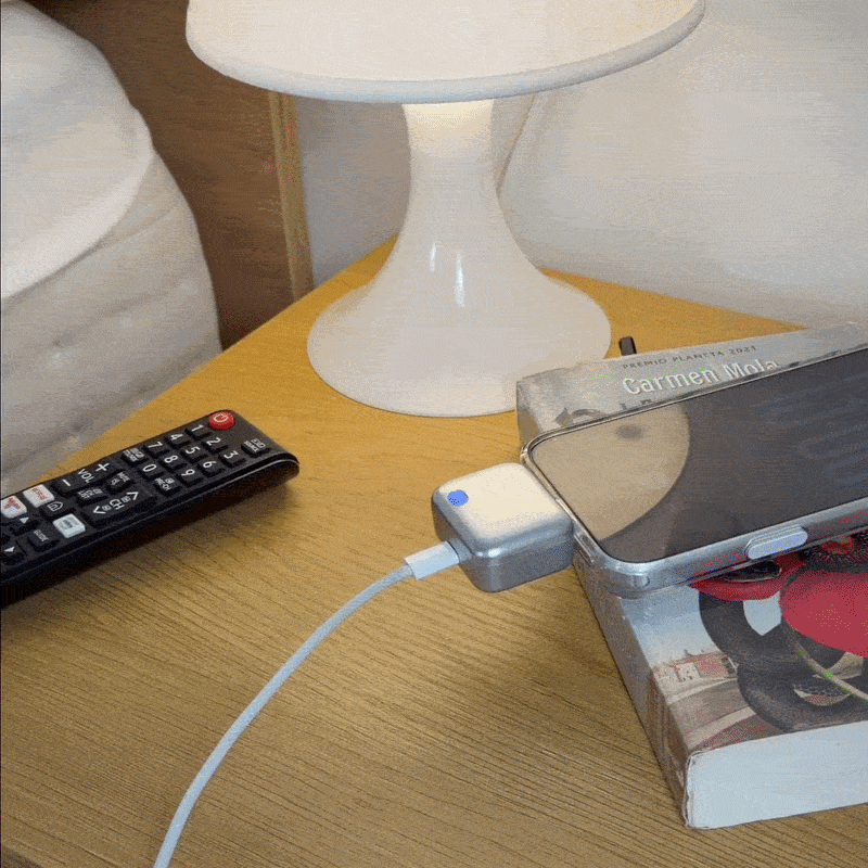 Type-C Secure Charging Adapter