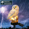 Solar Owl Pathway Light