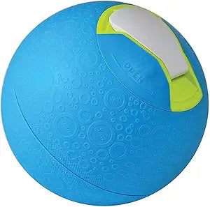 Play and Freeze
