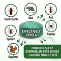 🟢 Natural Peppermint Rodent Repellent Tablets – 10 Pack