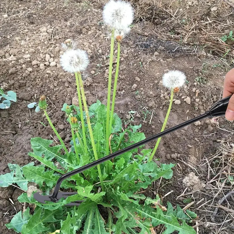 Multi-Function Weeding Tool